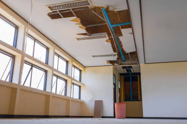 Best Water damage contractors near me  in Del City, OK