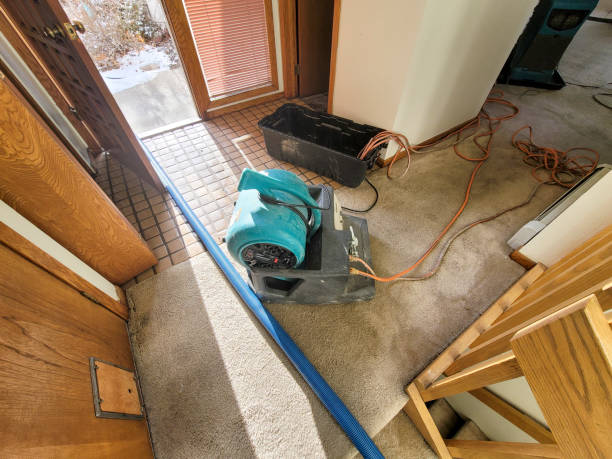 Best Water damage contractors near me  in Del City, OK