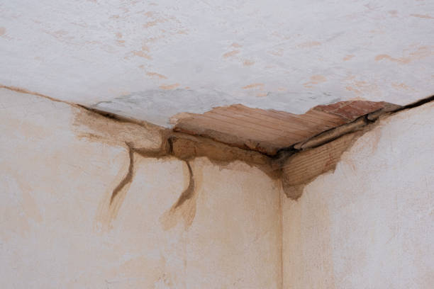 Best Professional water damage repair  in Del City, OK