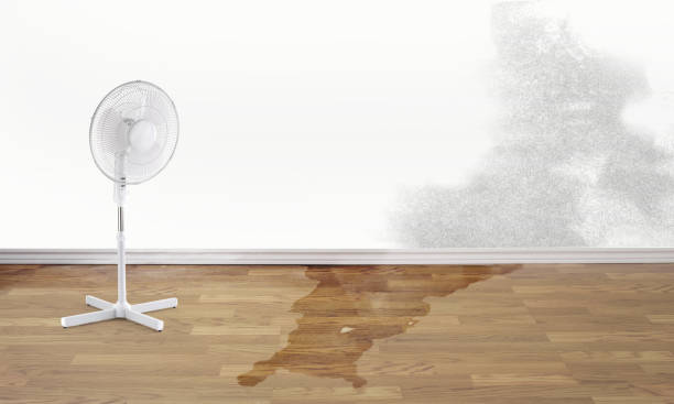  Del City, OK Water damage restoration Pros