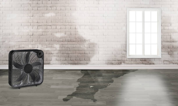Water damage restoration insurance claims in OK
