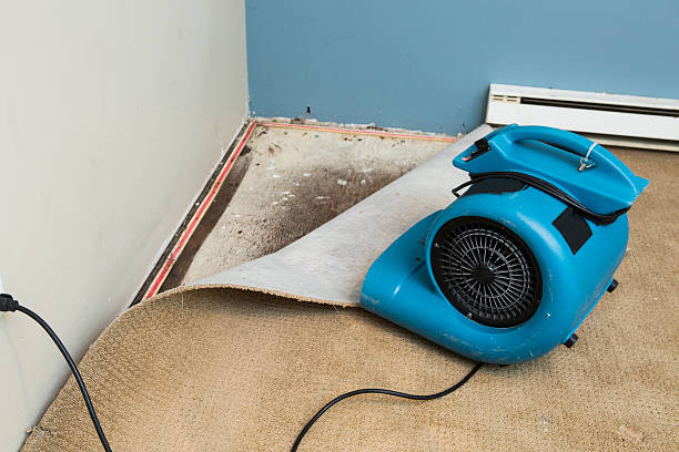 Best Local water damage restoration  in Del City, OK